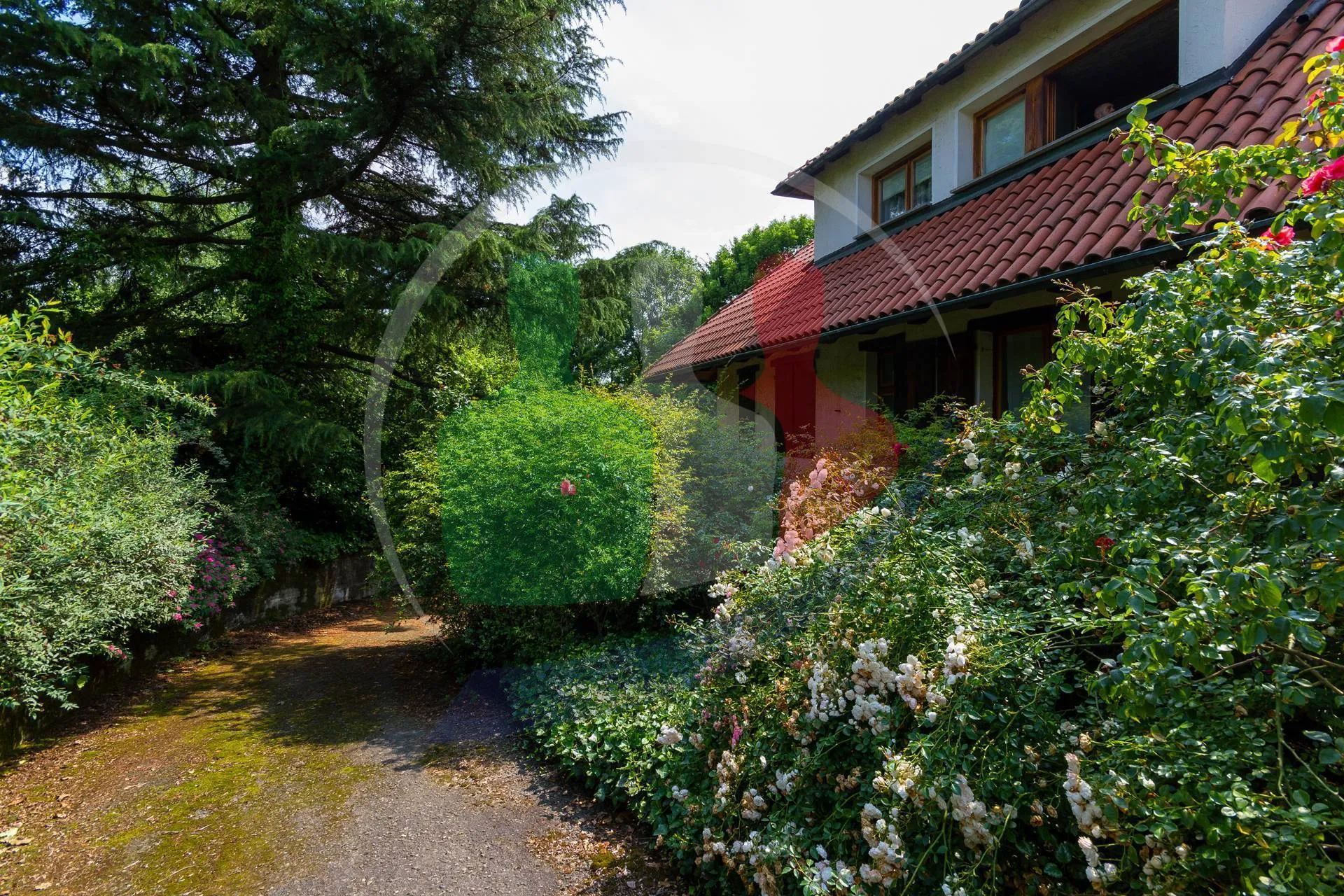 Immagine per Villa bifamiliare in vendita a Fiano Via Valceronda