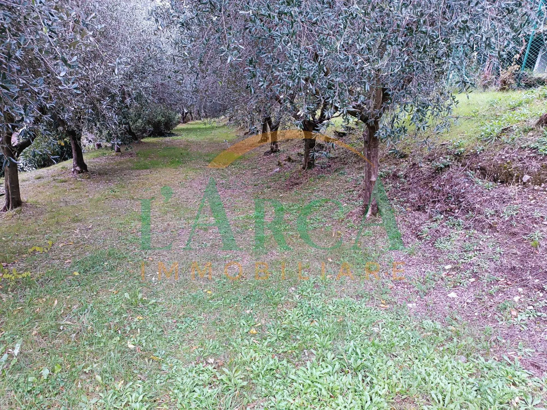 Immagine per Terreno edificabile in vendita a Sarnico via Predore 55