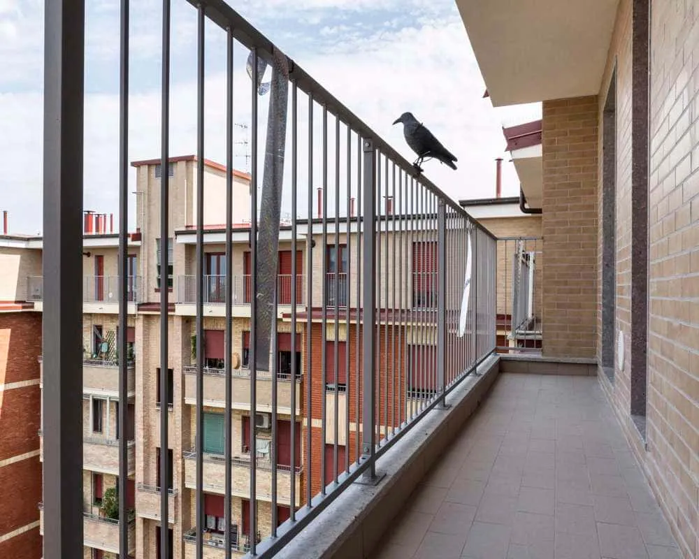 Immagine per Stanza in affitto a Milano