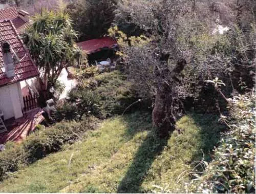 Immagine per Villa Bifamiliare in asta a Camporosso strada Degli Olandesi 259