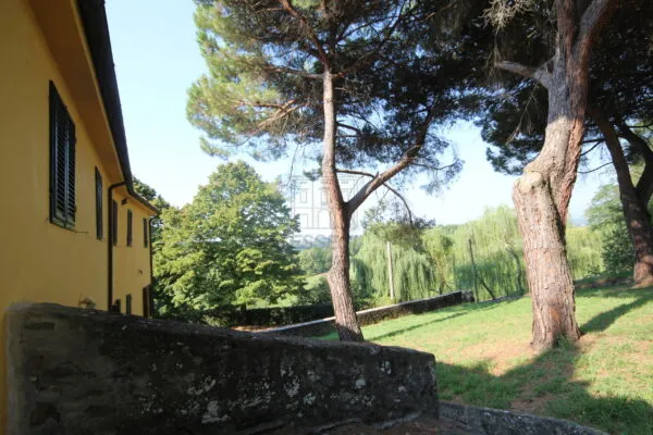 Casale via Tofori, Capannori