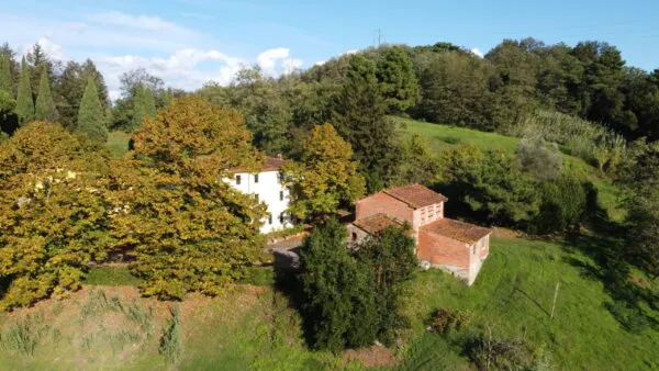 Casale via Tofori, Capannori