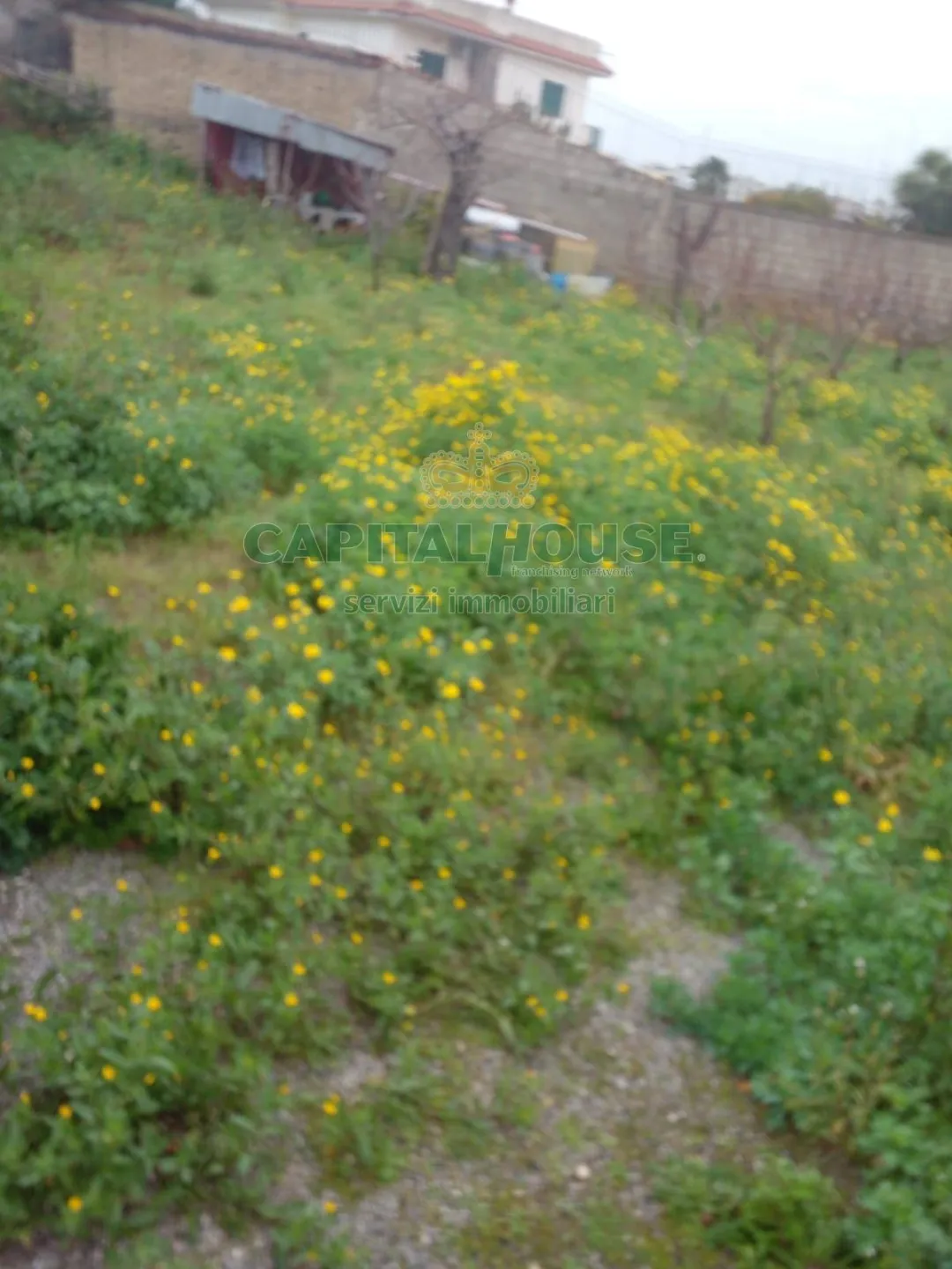 Immagine per Terreno Agricolo in vendita a Pozzuoli