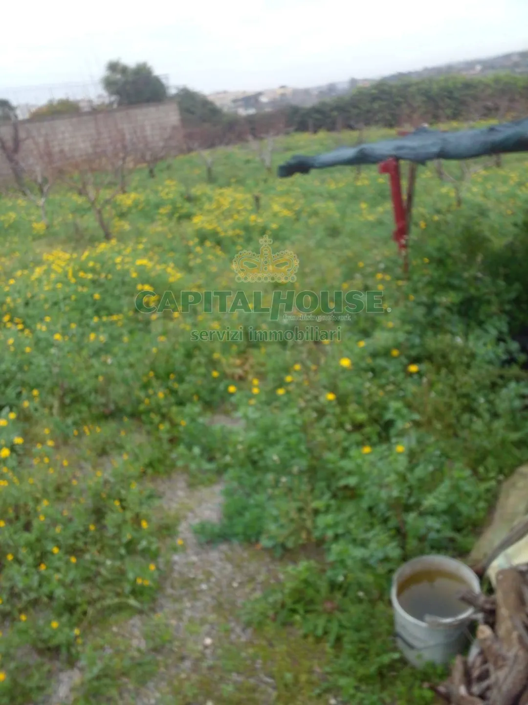 Immagine per Terreno Agricolo in vendita a Pozzuoli