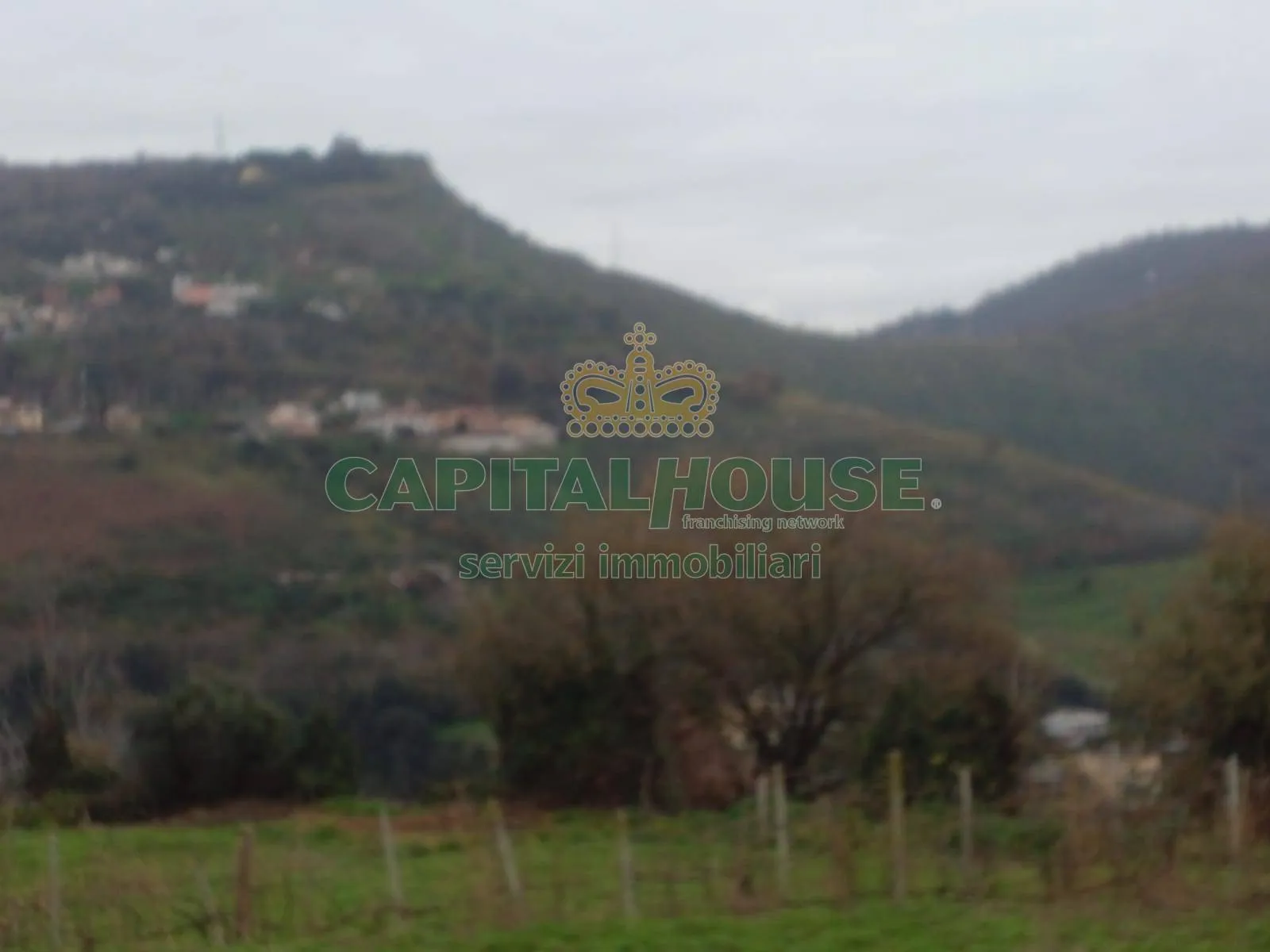 Immagine per Terreno Agricolo in vendita a Pozzuoli
