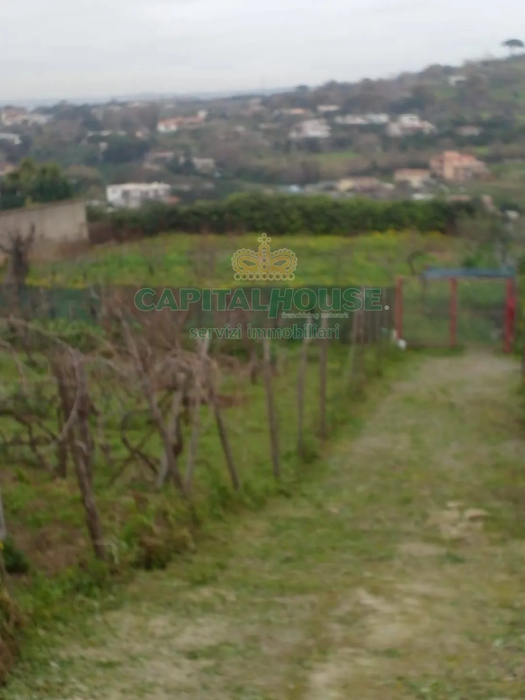 Immagine per Terreno Agricolo in vendita a Pozzuoli