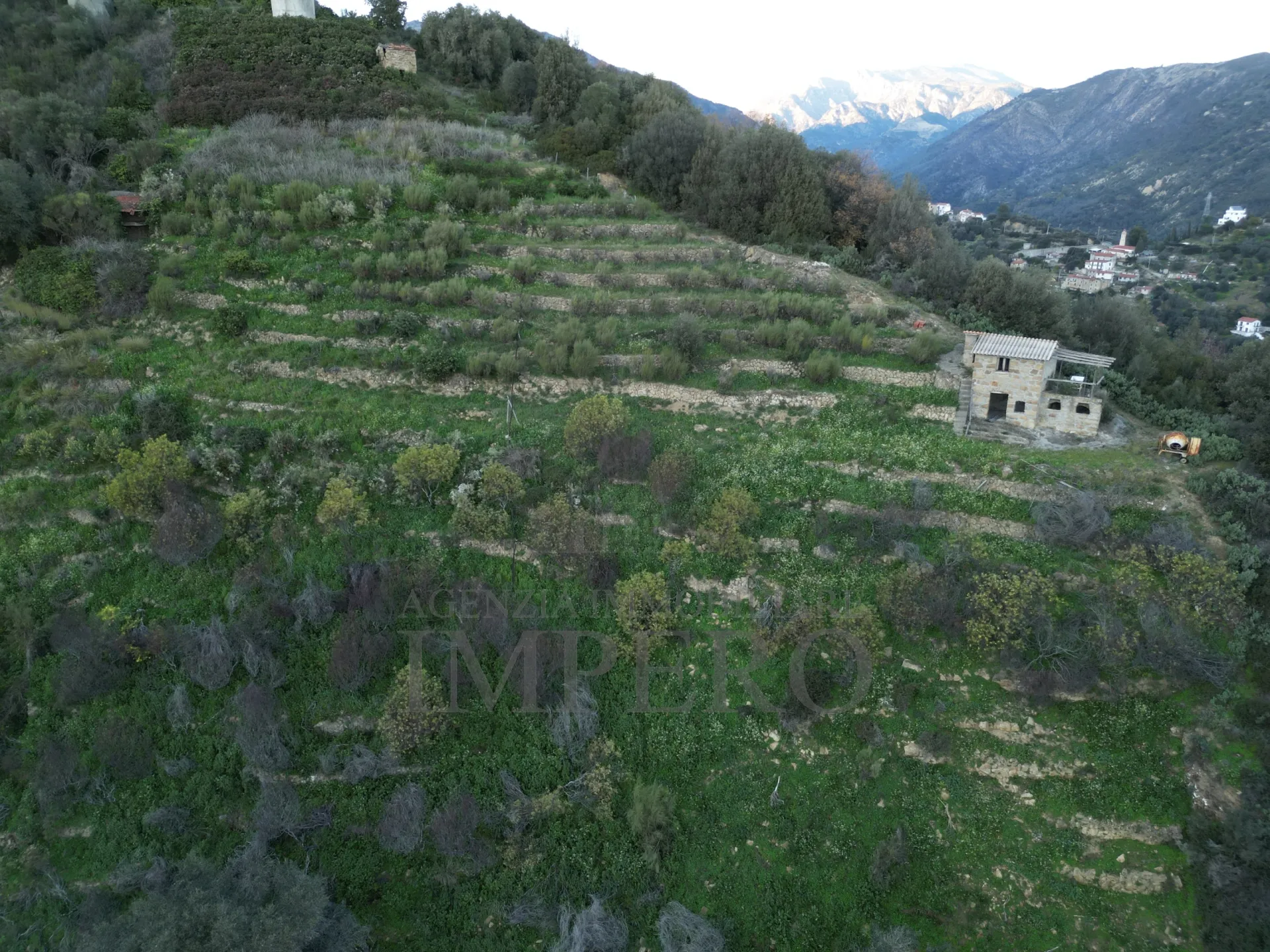 Immagine per Area verde in vendita a Ventimiglia via Delle Otto Case 94