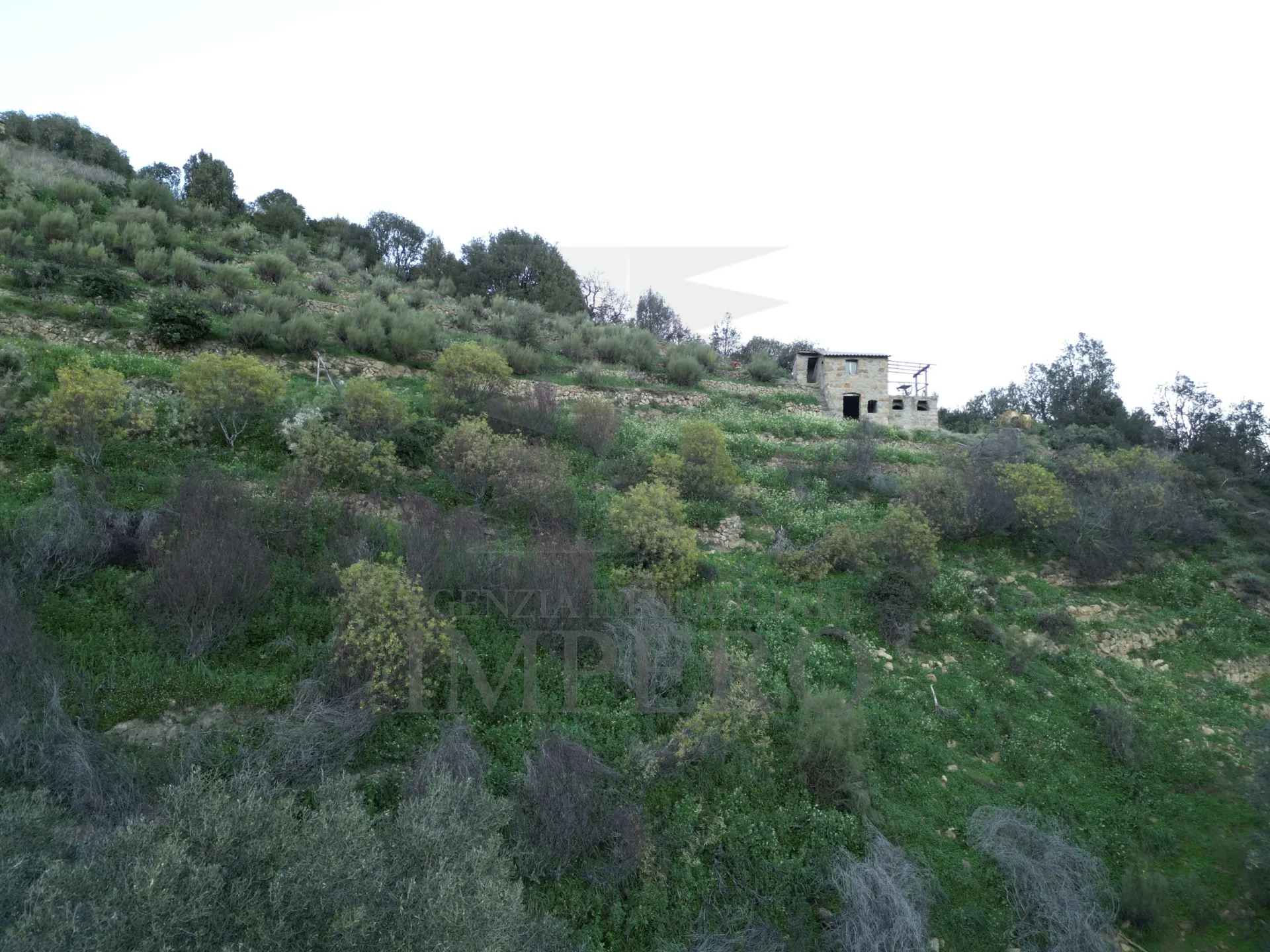 Immagine per Area verde in vendita a Ventimiglia via Delle Otto Case 94