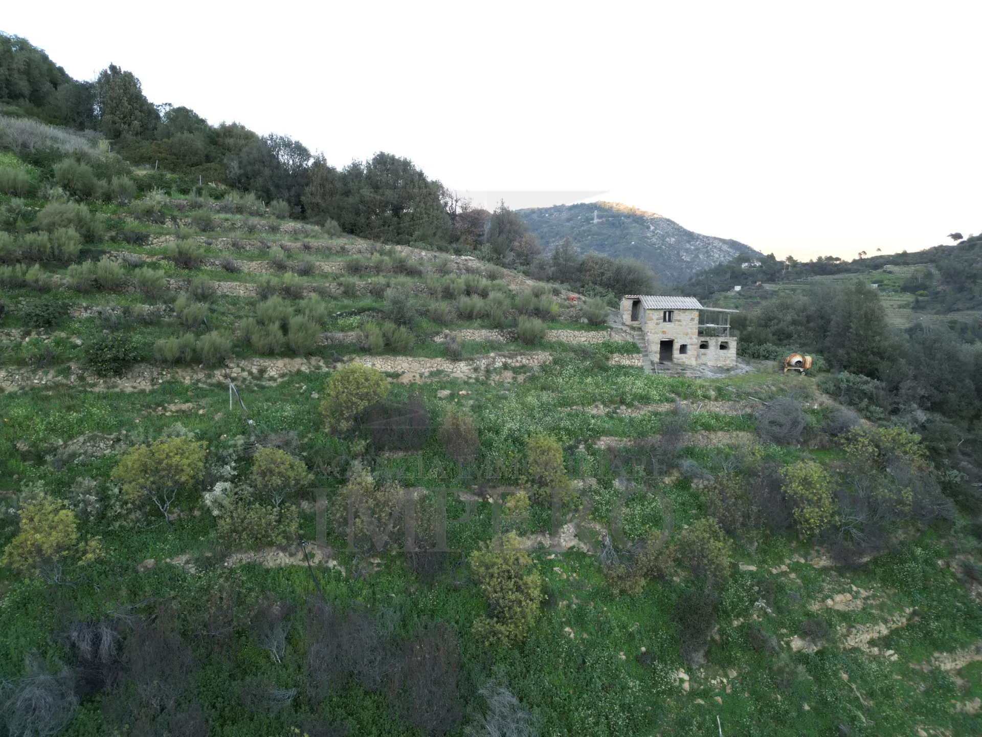 Immagine per Area verde in vendita a Ventimiglia via Delle Otto Case 94