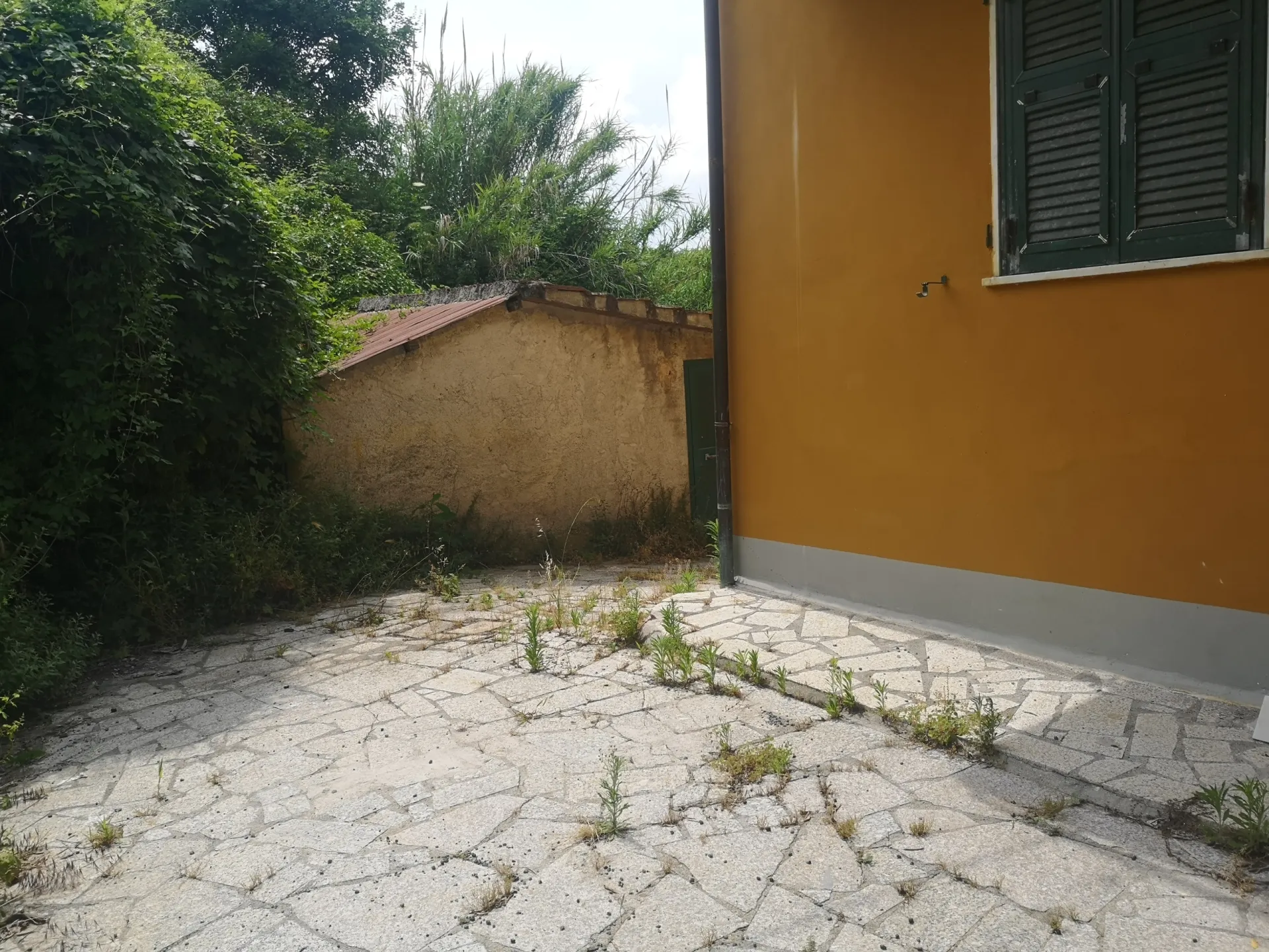 Immagine per casa semindipendente in vendita a Sarzana viale Dante Alighieri 31