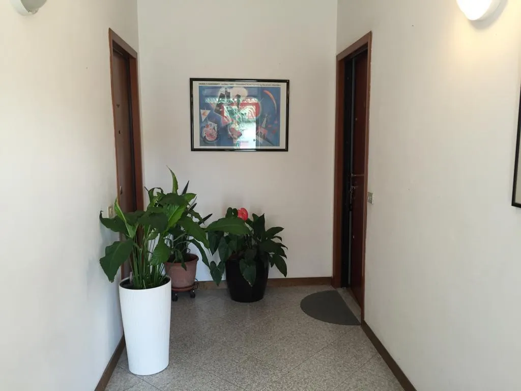 Immagine per casa semindipendente in vendita a Carrara via Aldo Pucciarelli 15