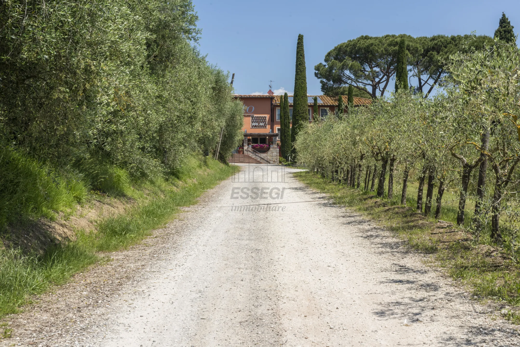 Immagine per Casale in vendita a Lucca via Di Montecarlo 59