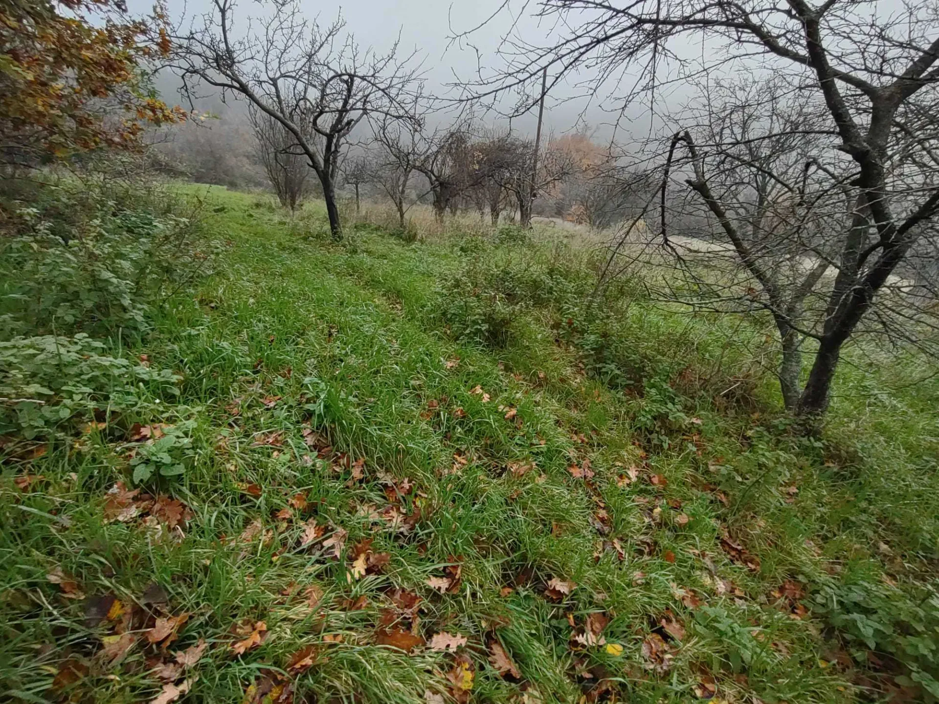 Immagine per Villa trifamiliare in vendita a Poggio San Marcello via Coste Del Molino snc