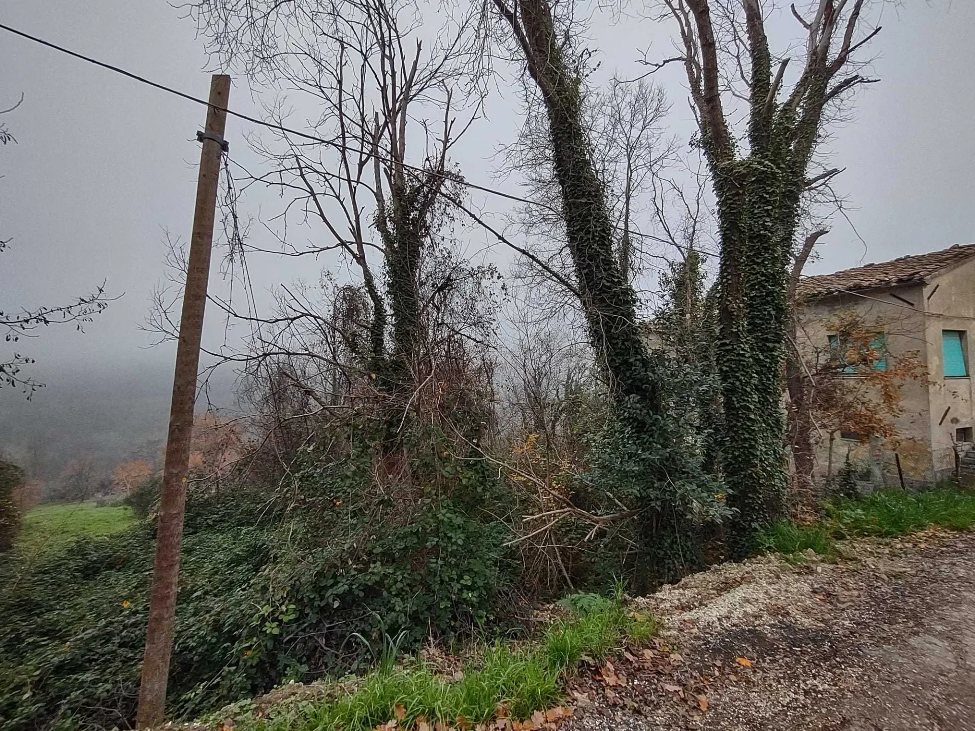 Immagine per casa in vendita a Poggio San Marcello via Montecarottese 85
