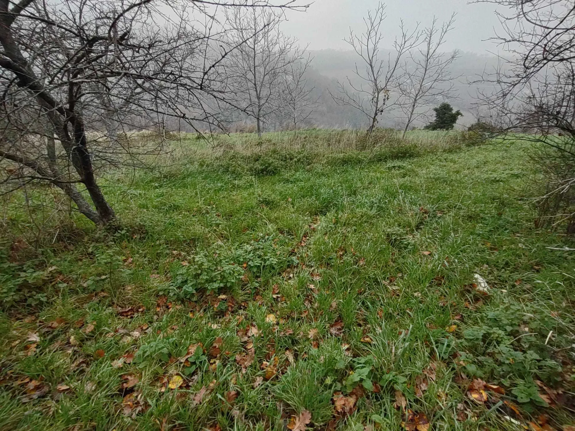 Immagine per Villa trifamiliare in vendita a Poggio San Marcello via Coste Del Molino snc