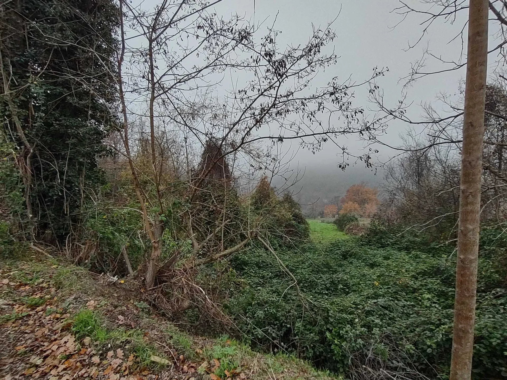 Immagine per Villa trifamiliare in vendita a Poggio San Marcello via Coste Del Molino snc