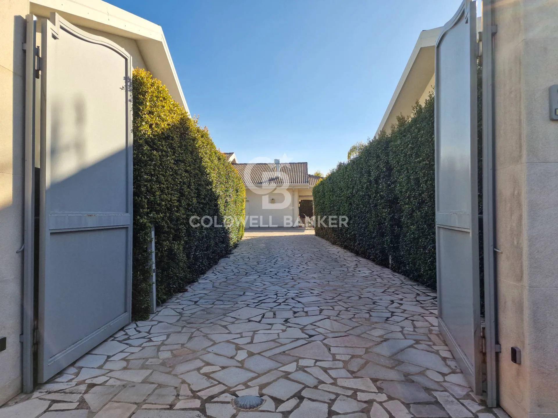 Immagine per Villa in vendita a Pedara Via Etnea