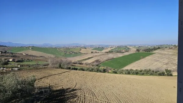 Villa Trifamiliare via Fontenova Snc, Belvedere Ostrense