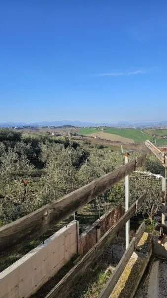 Villa Trifamiliare via Fontenova Snc, Jesi