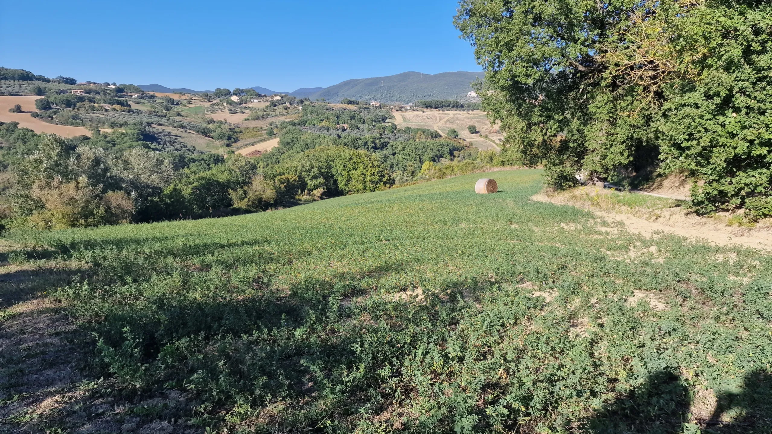 Immagine per Terreno Agricolo in vendita a Lugnano in Teverina via Sasso Glorioso 6