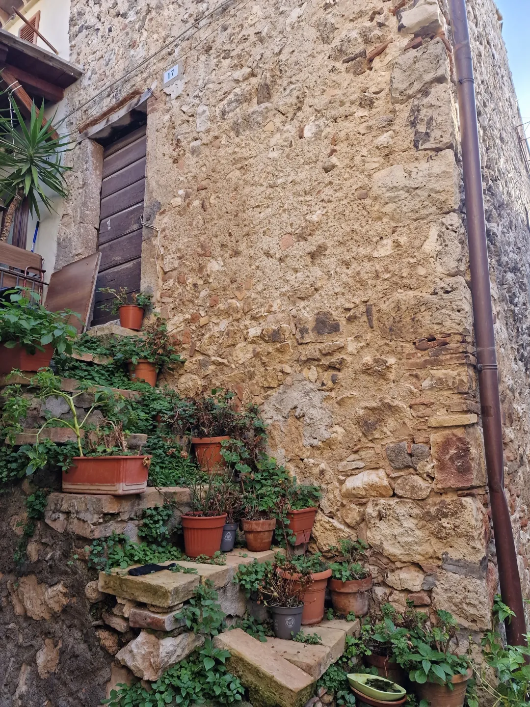 Immagine per Terratetto in vendita a Lugnano in Teverina via Bolognino