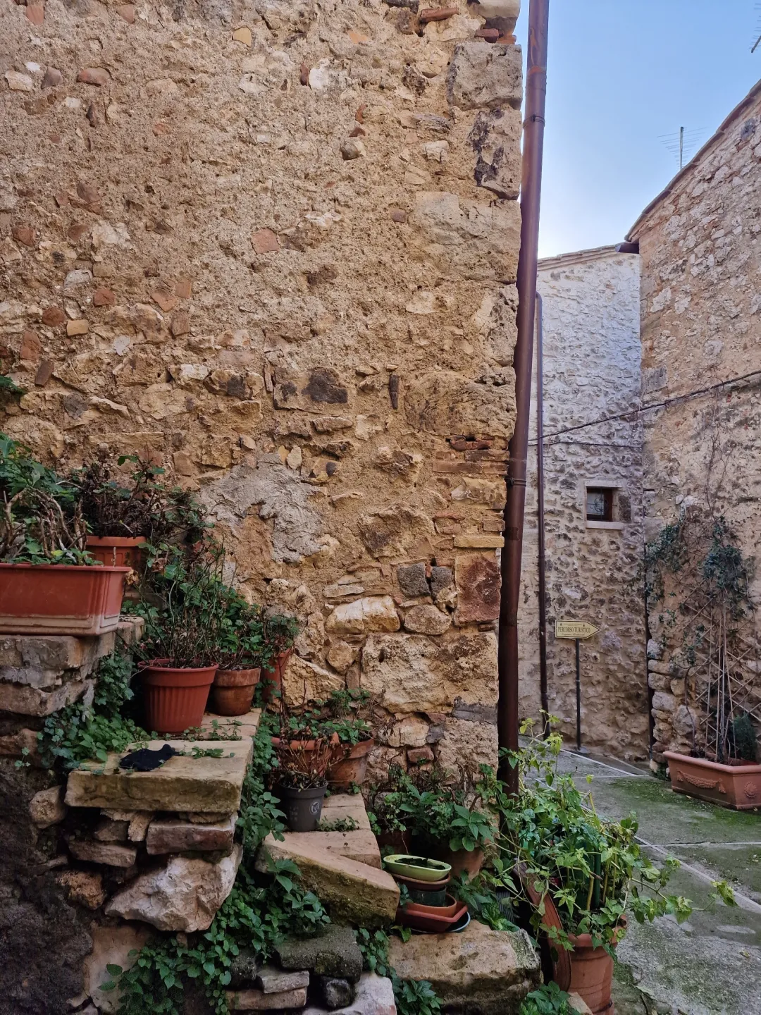 Immagine per Terratetto in vendita a Lugnano in Teverina via Bolognino