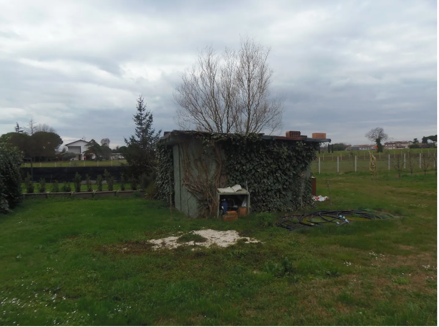 Immagine per Frutteto in vendita a Cesena via San Giorgio
