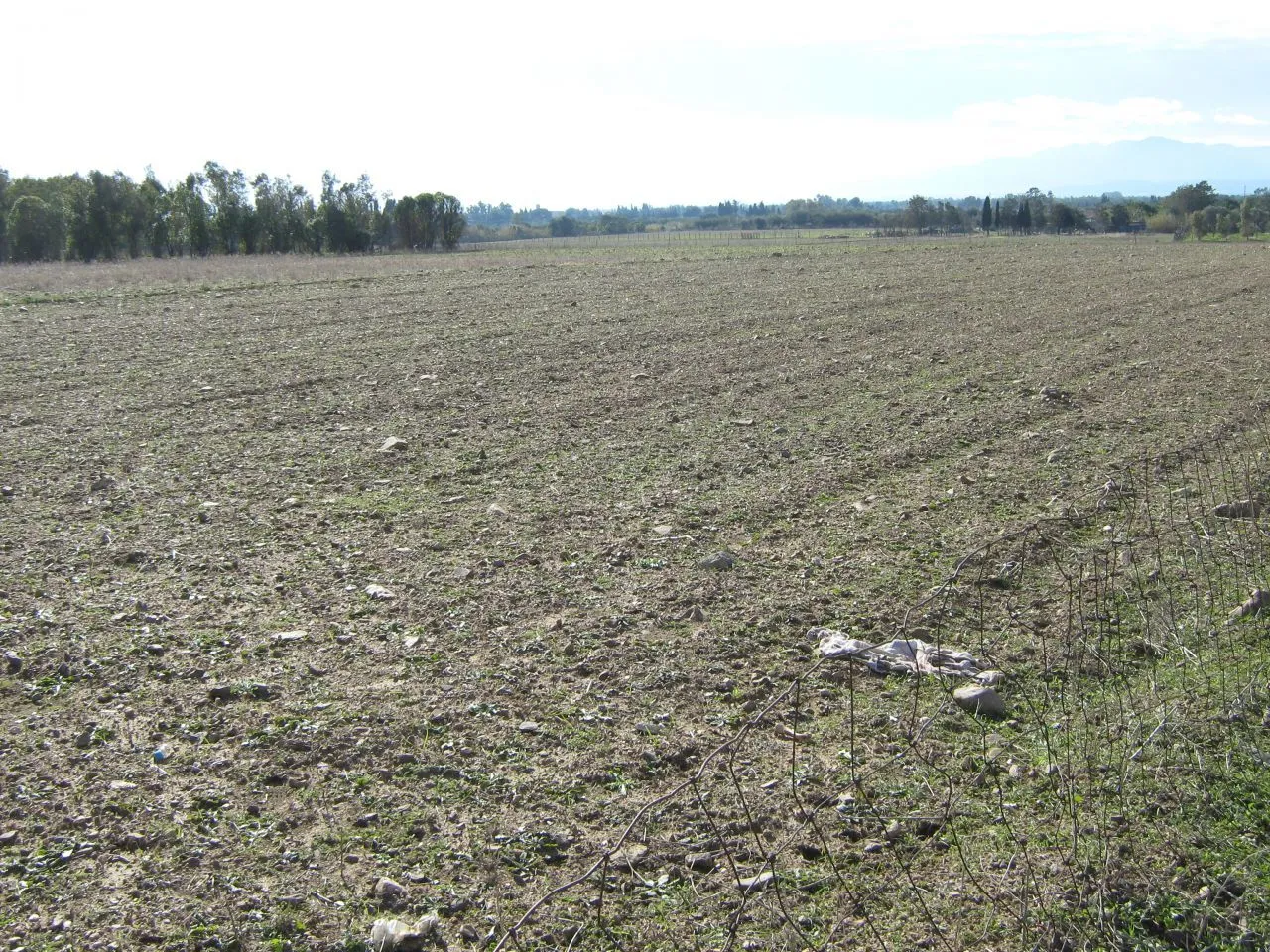 Immagine per Agricolo in vendita a San Sperate snc