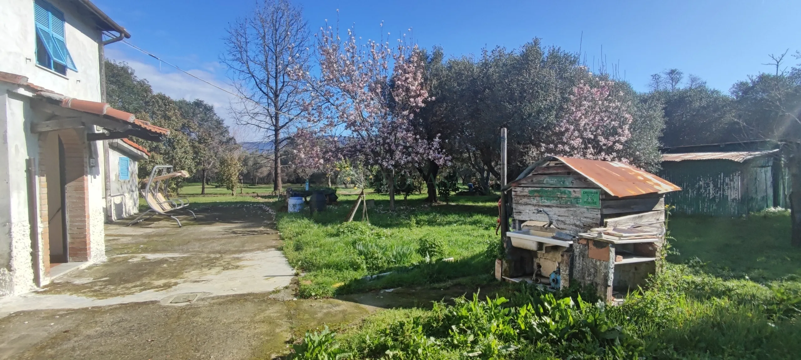 Immagine per casa in vendita a Sarzana viale 25 aprile