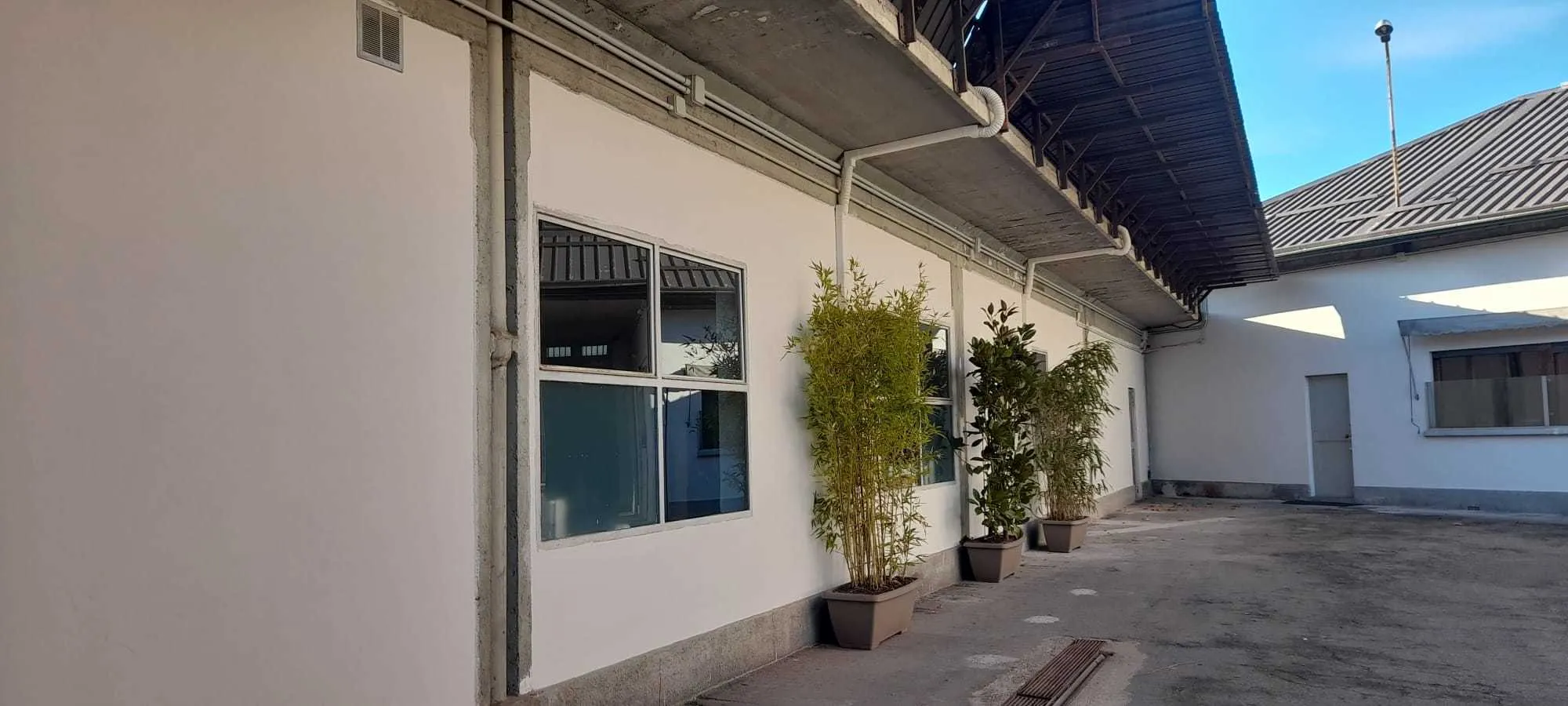 Immagine per Laboratorio in affitto a Torino corso Palermo 26
