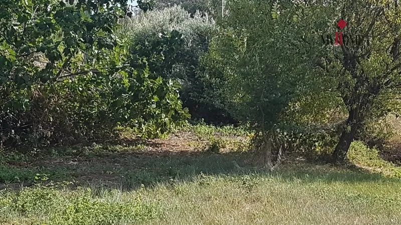 Immagine per Terreno Edificabile in vendita a San Benedetto del Tronto