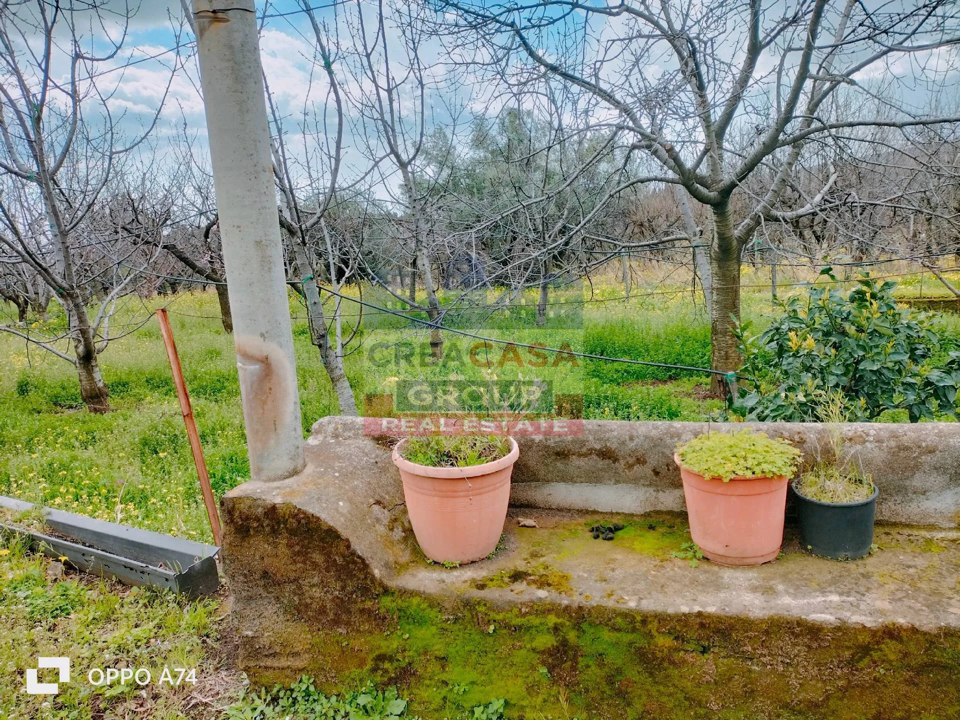 Immagine per Villa in vendita a Piedimonte Etneo via castagne