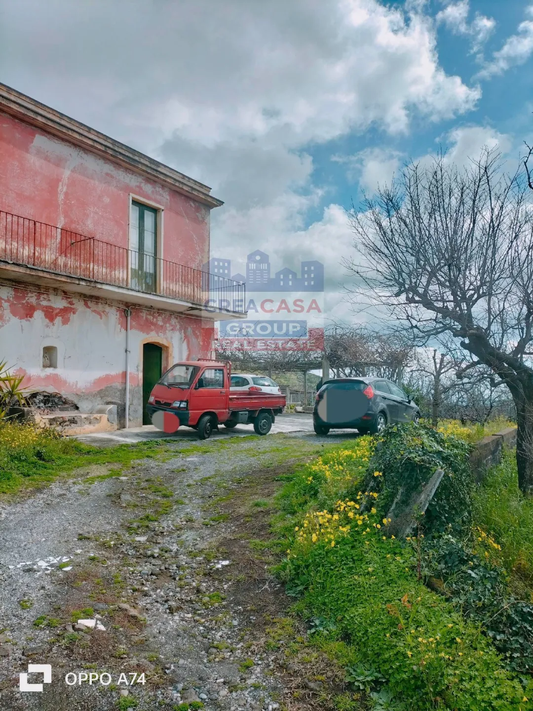 Immagine per Agriturismo in vendita a Piedimonte Etneo castagne