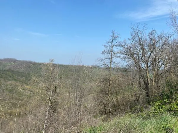 Terreno Agricolo via Miano, Medesano