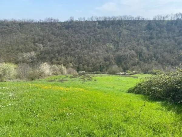 Terreno Agricolo via Miano, Medesano