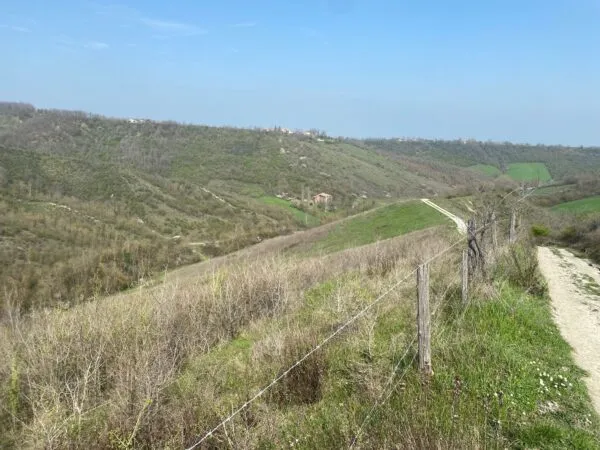Terreno Agricolo via Miano, Medesano