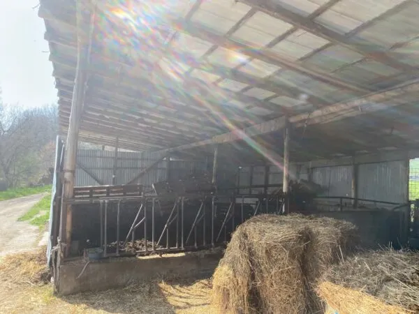 Terreno Agricolo via Miano, Medesano