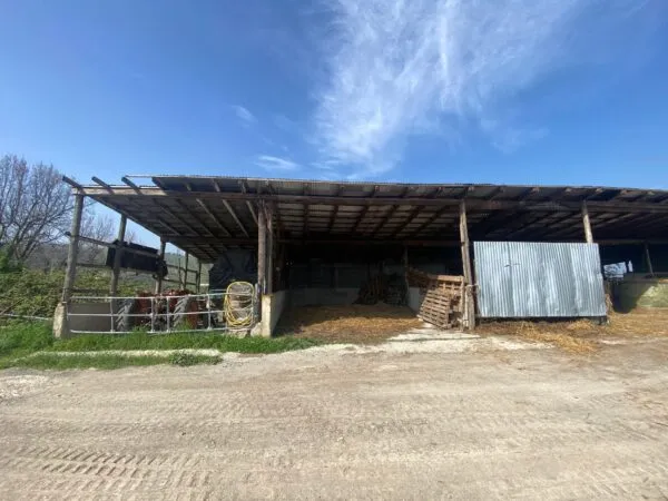 Terreno Agricolo via Miano, Medesano