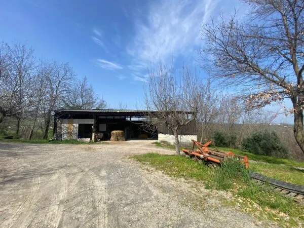 Terreno Agricolo via Miano, Medesano