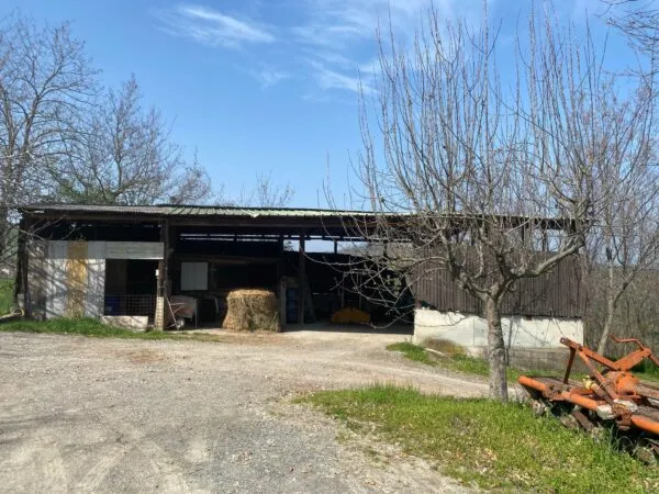 Terreno Agricolo via Miano, Medesano
