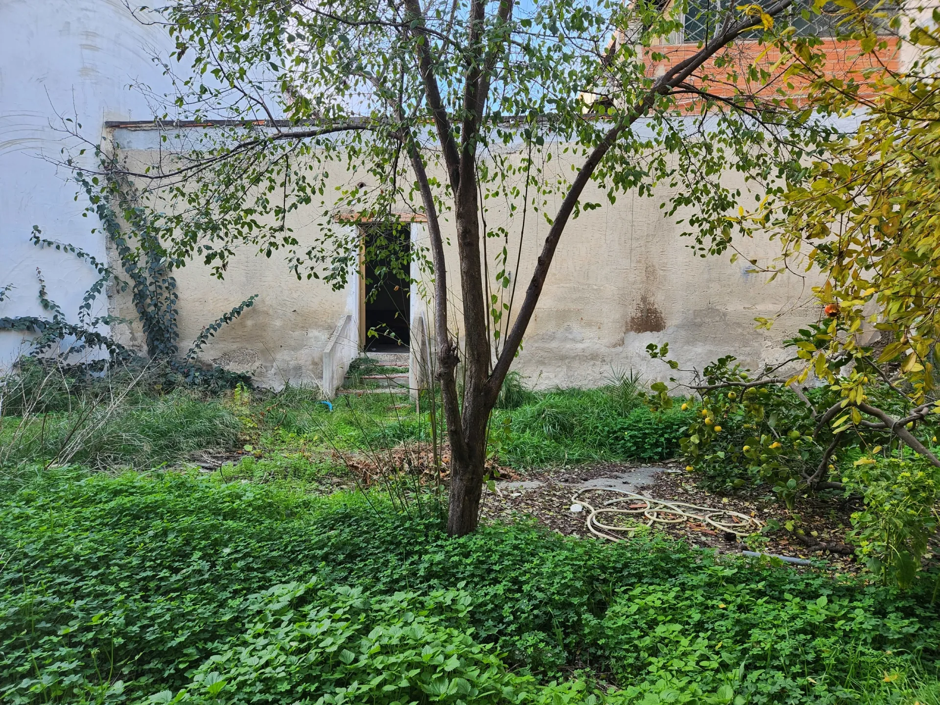 Immagine per casa semindipendente in vendita a Ussana via Municipio