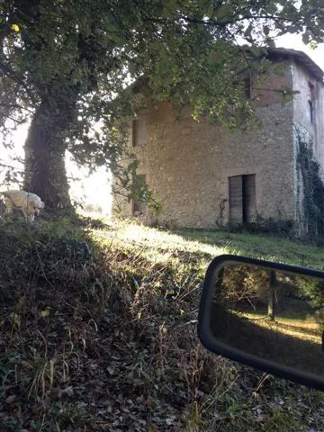 Immagine per Casale in vendita a Lugnano in Teverina via Umberto I 36