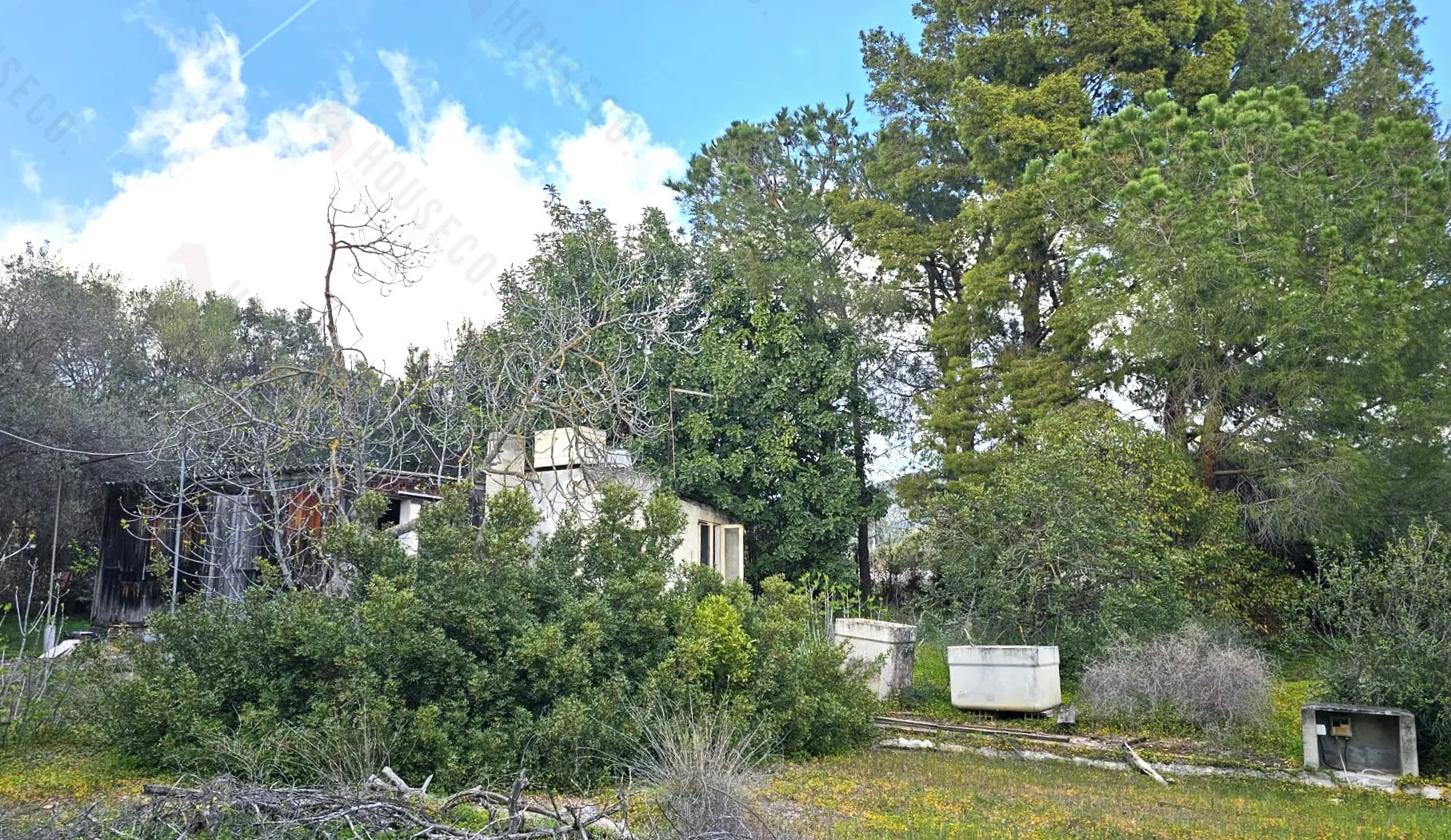 Immagine per Villa in vendita a Quartu Sant'Elena via Santu Lianu SNC