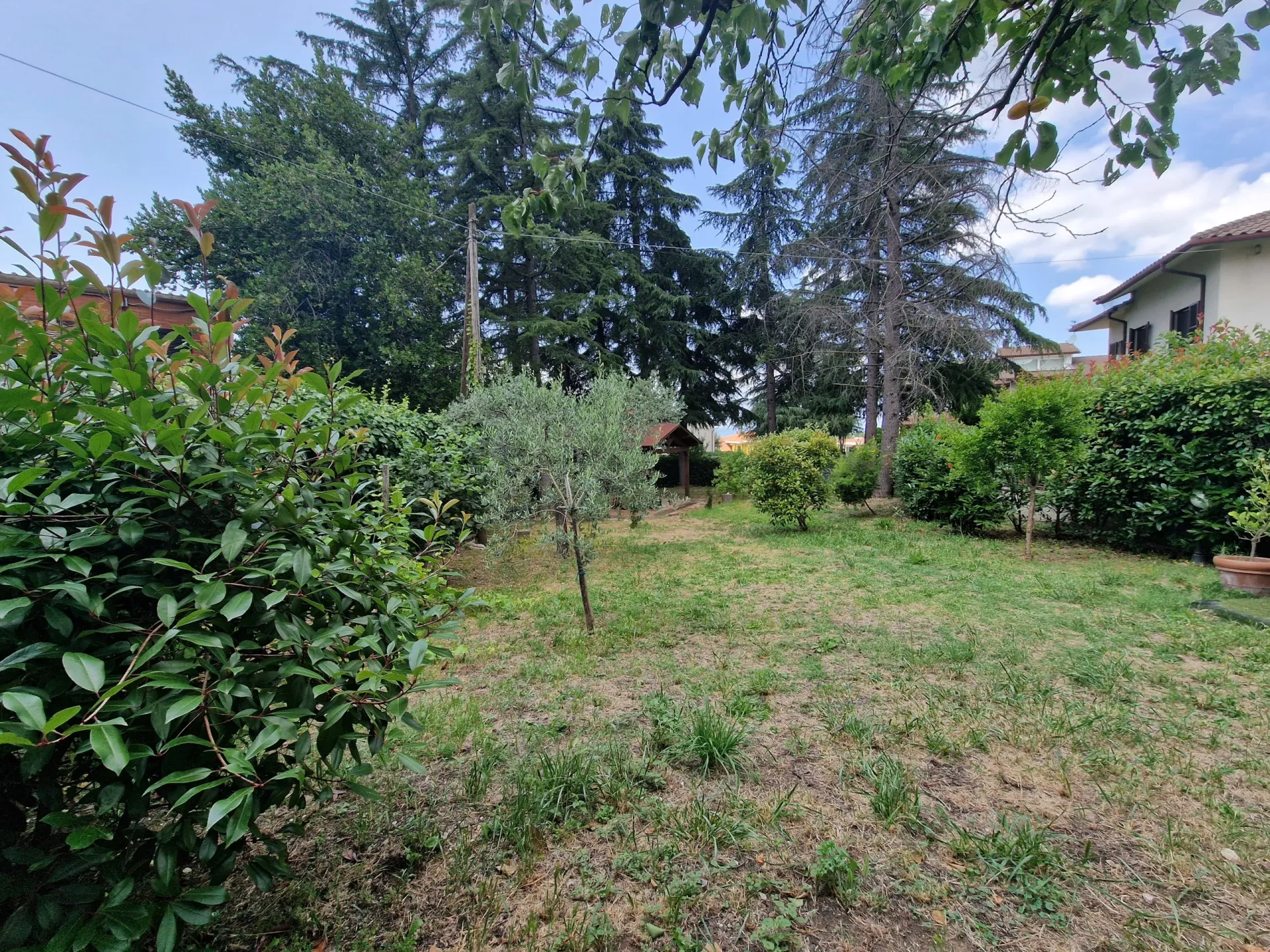 Immagine per Villa in vendita a Lugnano in Teverina via Madonna Dei Pini 15