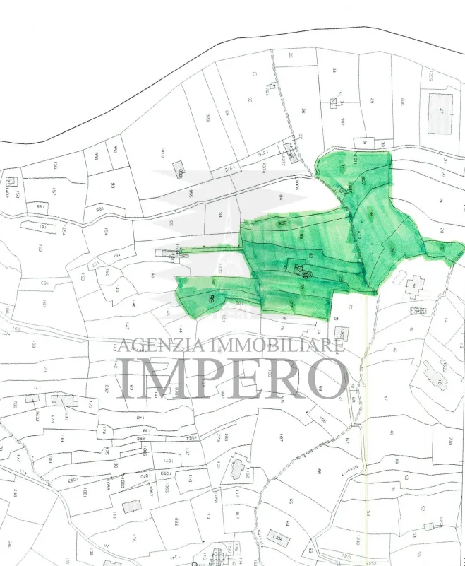 Immagine per Area verde in vendita a Vallecrosia via Sp 59