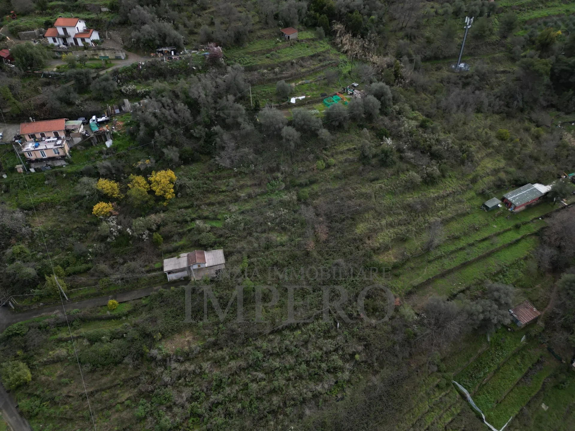 Immagine per Area verde in vendita a Vallecrosia via Sp 59
