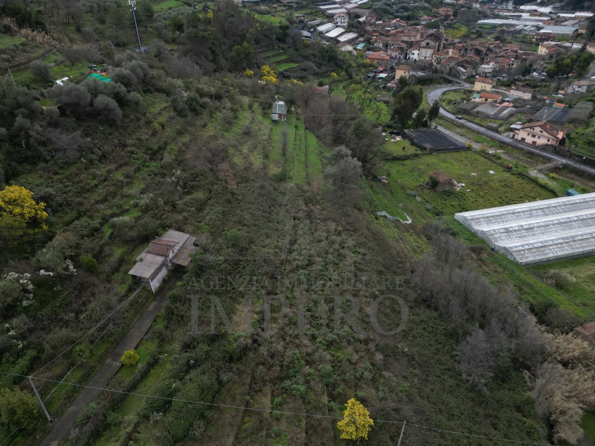 Immagine per Area verde in vendita a Vallecrosia via Sp 59