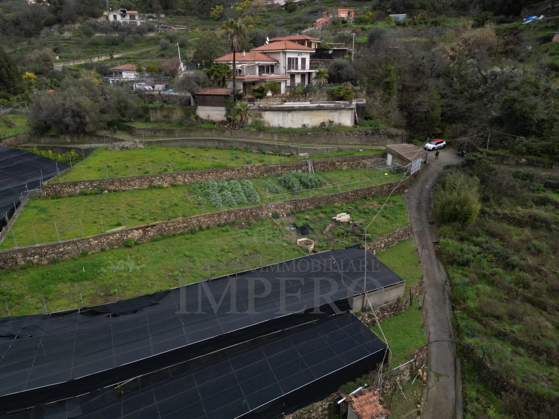 Immagine per Area verde in vendita a Vallecrosia via Sp 59