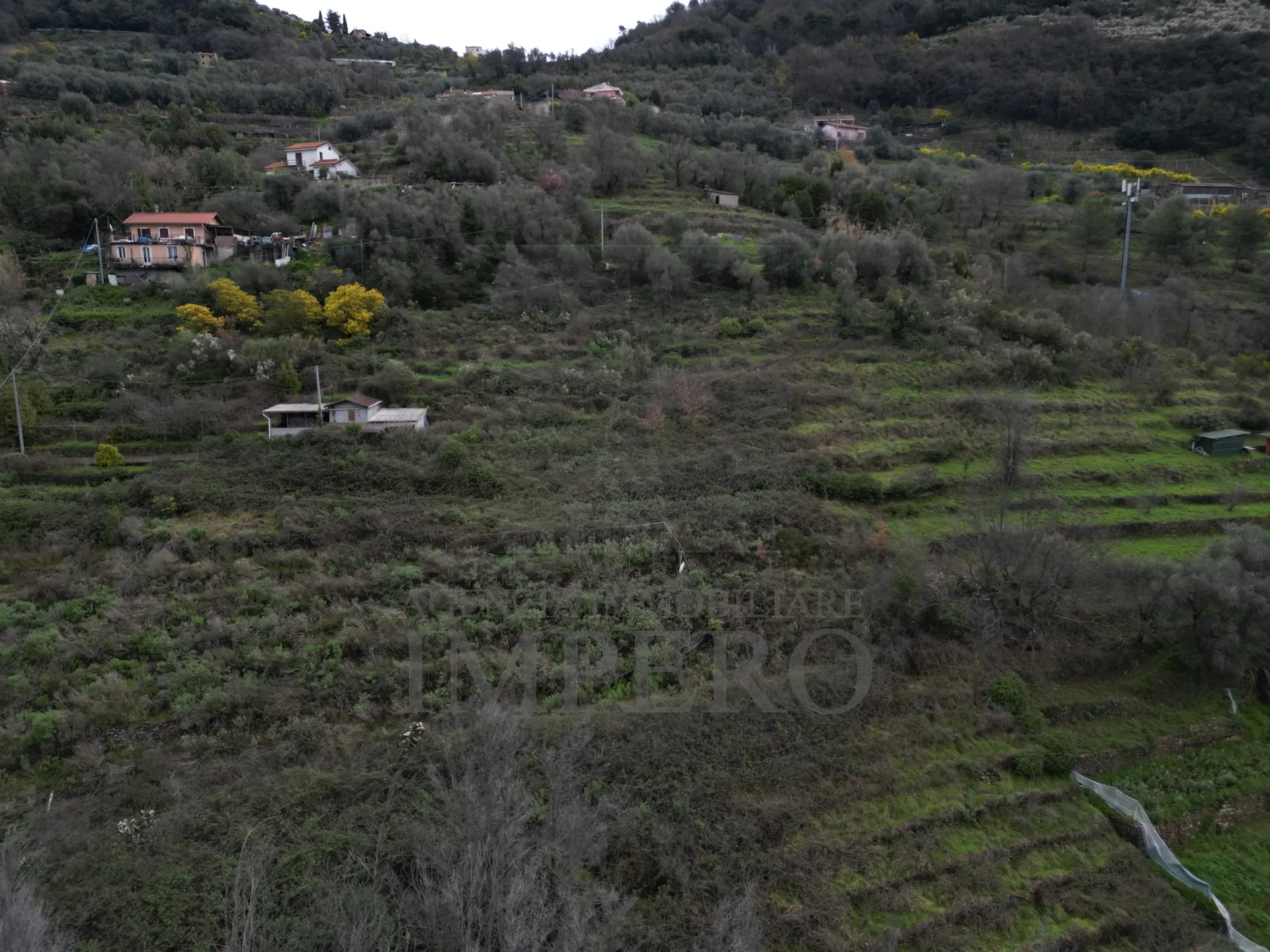 Immagine per Area verde in vendita a Vallecrosia via Sp 59