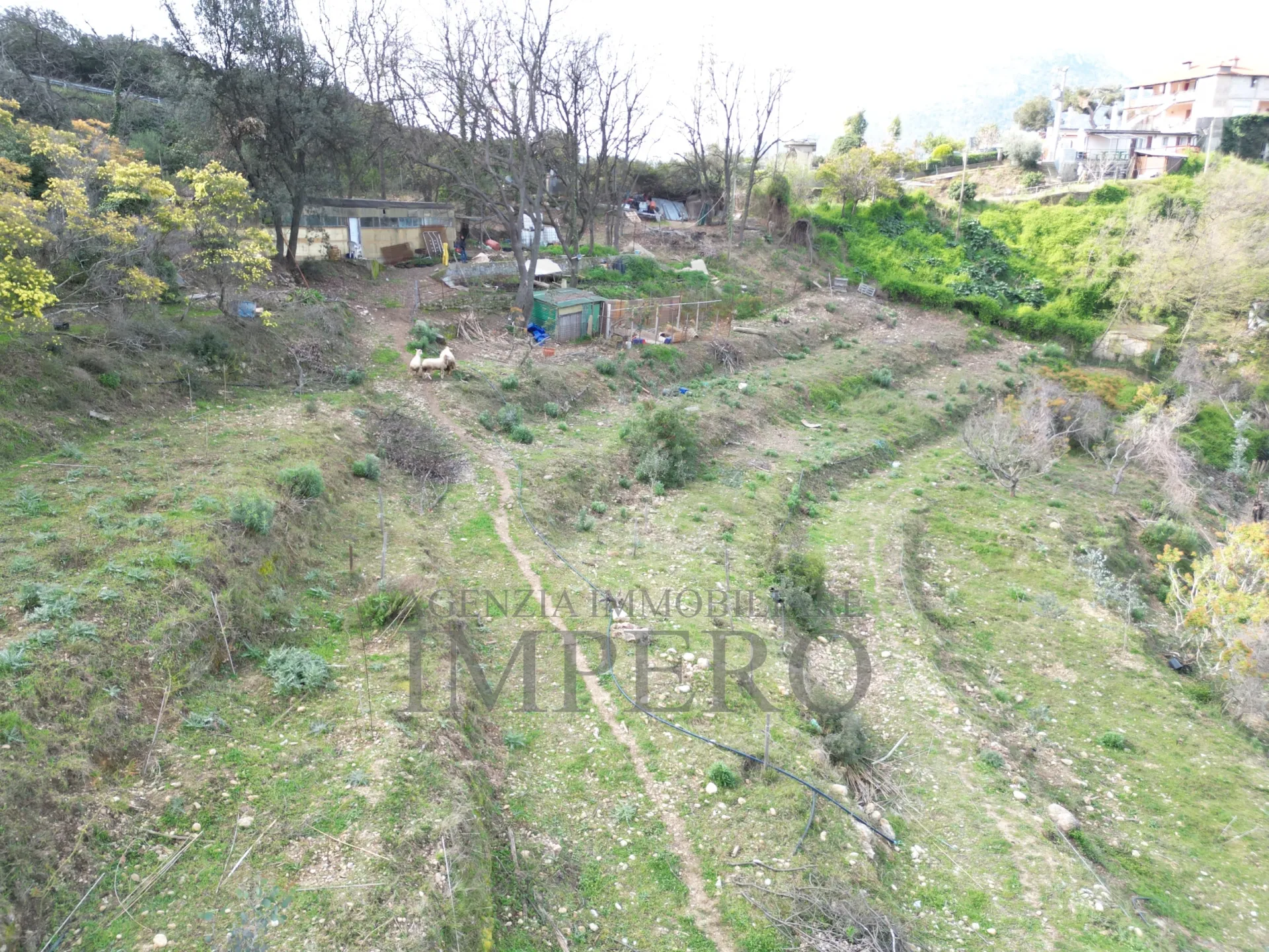 Immagine per Terreno Agricolo in vendita a Camporosso via Regione Magauda 36